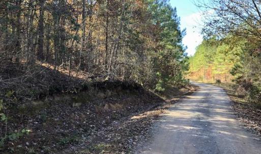 Photo of SOLD!!  5 Acres of Residential and Hunting Land For Sale in Moore County NC!