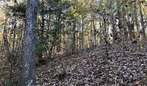 Photo of SOLD!!  5 Acres of Residential and Hunting Land For Sale in Moore County NC!
