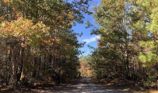 Photo of SOLD!!  5 Acres of Residential and Hunting Land For Sale in Moore County NC!