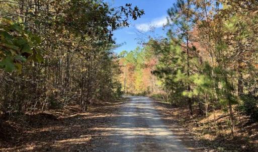 Photo of SOLD!!  5 Acres of Residential and Hunting Land For Sale in Moore County NC!