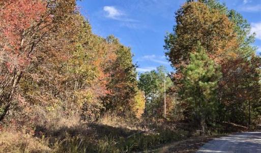 Photo of SOLD!!  3 Acres of Residential and Hunting Land For Sale in Moore County NC!