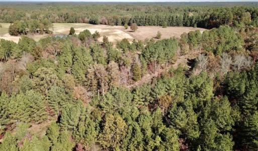 Photo of SOLD!!  3 Acres of Residential and Hunting Land For Sale in Moore County NC!