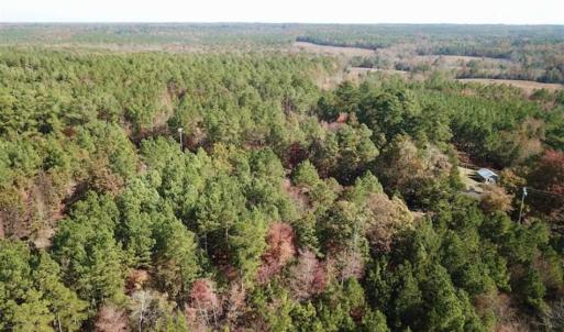 Photo of SOLD!!  3 Acres of Residential and Hunting Land For Sale in Moore County NC!