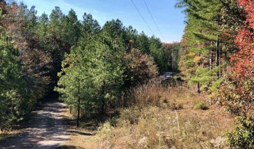 Photo of SOLD!!  3 Acres of Residential and Hunting Land For Sale in Moore County NC!