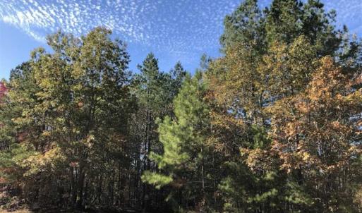 Photo of SOLD!!  3 Acres of Residential and Hunting Land For Sale in Moore County NC!