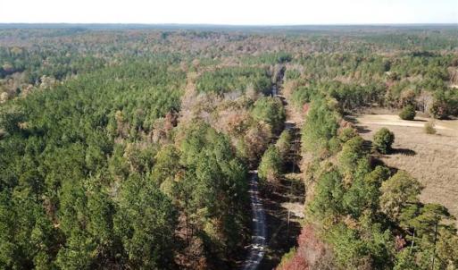 Photo of SOLD!!  3 Acres of Residential and Hunting Land For Sale in Moore County NC!