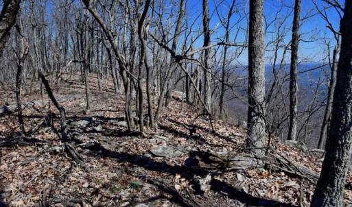 Photo of 151 Acres of Hunting and Development Land in Bedford County VA!