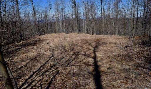 Photo of 151 Acres of Hunting and Development Land in Bedford County VA!