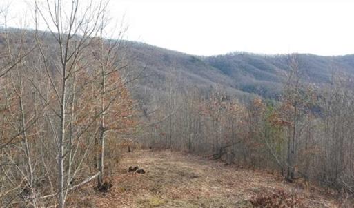 Photo of SOLD!!  74 Acres of Hunting and Recreational Land For Sale in Bland County VA!