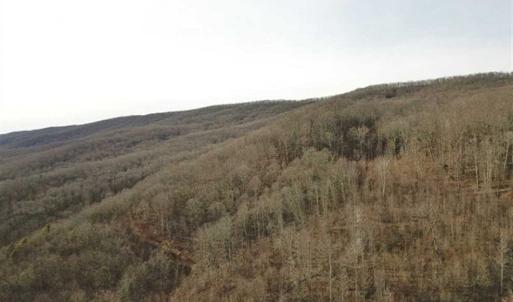 Photo of SOLD!!  74 Acres of Hunting and Recreational Land For Sale in Bland County VA!