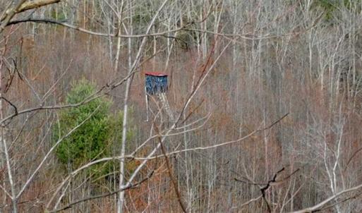 Photo of SOLD!!  74 Acres of Hunting and Recreational Land For Sale in Bland County VA!