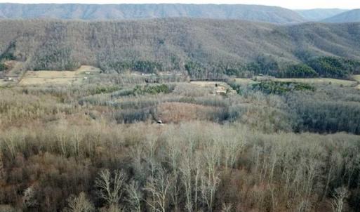 Photo of SOLD!!  74 Acres of Hunting and Recreational Land For Sale in Bland County VA!