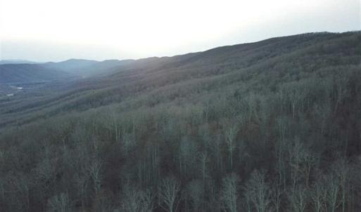 Photo of SOLD!!  74 Acres of Hunting and Recreational Land For Sale in Bland County VA!