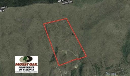 Photo of SOLD!!  74 Acres of Hunting and Recreational Land For Sale in Bland County VA!
