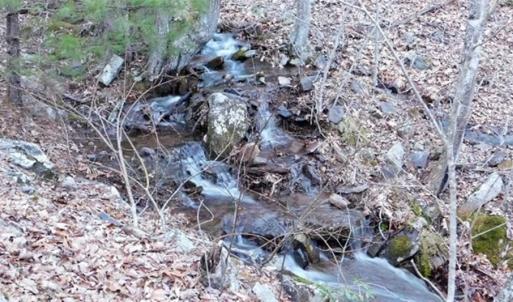 Photo of SOLD!!  74 Acres of Hunting and Recreational Land For Sale in Bland County VA!