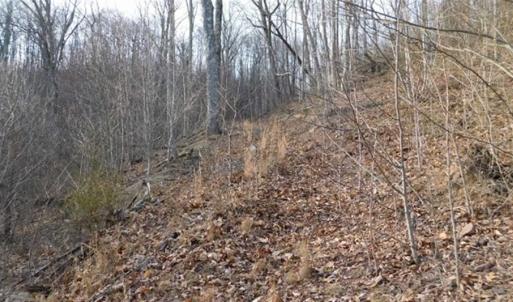 Photo of SOLD!!  74 Acres of Hunting and Recreational Land For Sale in Bland County VA!