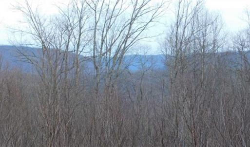 Photo of SOLD!!  74 Acres of Hunting and Recreational Land For Sale in Bland County VA!