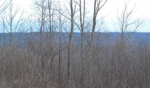 Photo of SOLD!!  74 Acres of Hunting and Recreational Land For Sale in Bland County VA!