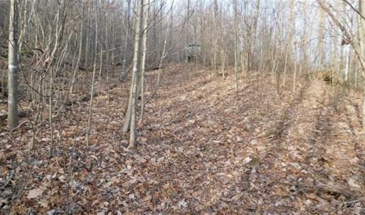 Photo of SOLD!!  74 Acres of Hunting and Recreational Land For Sale in Bland County VA!