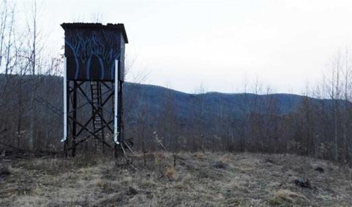 Photo of SOLD!!  74 Acres of Hunting and Recreational Land For Sale in Bland County VA!