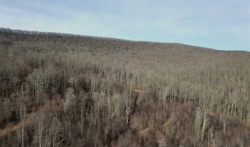 Photo of SOLD!!  74 Acres of Hunting and Recreational Land For Sale in Bland County VA!