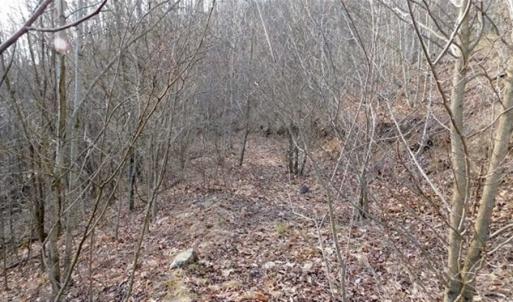 Photo of SOLD!!  74 Acres of Hunting and Recreational Land For Sale in Bland County VA!