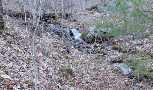 Photo of SOLD!!  74 Acres of Hunting and Recreational Land For Sale in Bland County VA!
