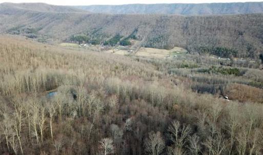 Photo of SOLD!!  74 Acres of Hunting and Recreational Land For Sale in Bland County VA!