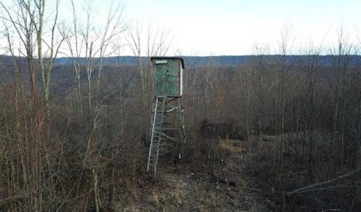 Photo of SOLD!!  74 Acres of Hunting and Recreational Land For Sale in Bland County VA!