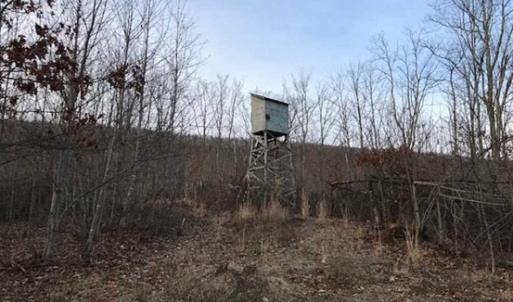 Photo of SOLD!!  74 Acres of Hunting and Recreational Land For Sale in Bland County VA!