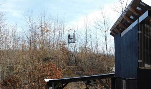 Photo of SOLD!!  74 Acres of Hunting and Recreational Land For Sale in Bland County VA!