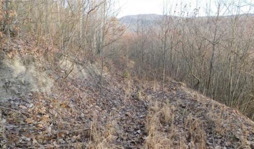 Photo of SOLD!!  74 Acres of Hunting and Recreational Land For Sale in Bland County VA!