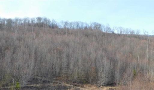 Photo of SOLD!!  74 Acres of Hunting and Recreational Land For Sale in Bland County VA!