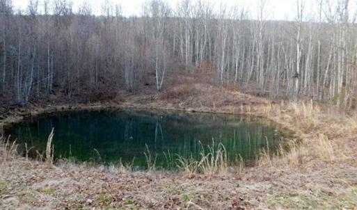 Photo of SOLD!!  74 Acres of Hunting and Recreational Land For Sale in Bland County VA!