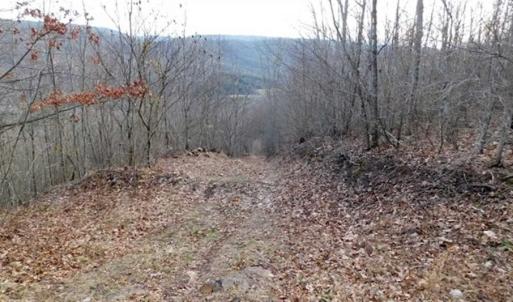 Photo of SOLD!!  74 Acres of Hunting and Recreational Land For Sale in Bland County VA!