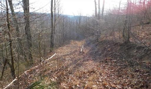 Photo of SOLD!!  74 Acres of Hunting and Recreational Land For Sale in Bland County VA!