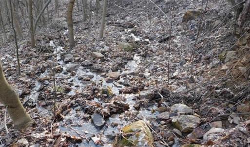 Photo of SOLD!!  74 Acres of Hunting and Recreational Land For Sale in Bland County VA!