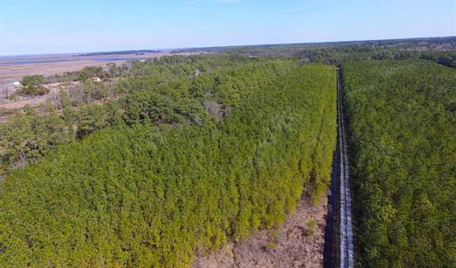 Photo of 27 Acres of  Waterfront Property For Sale in Accomack County VA!