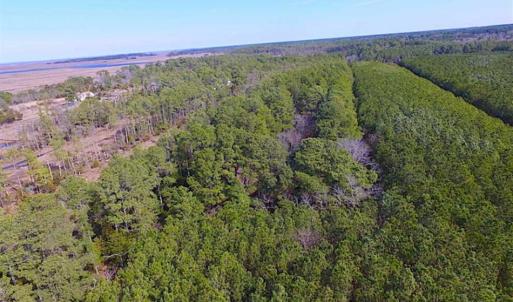 Photo of 27 Acres of  Waterfront Property For Sale in Accomack County VA!