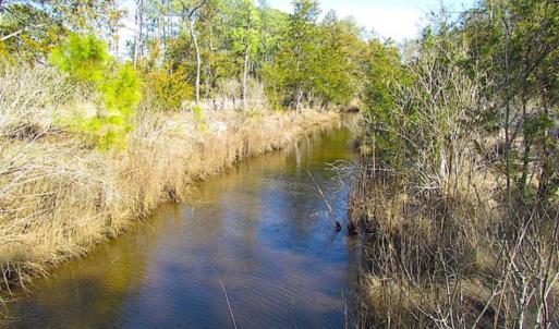 Photo of 27 Acres of  Waterfront Property For Sale in Accomack County VA!