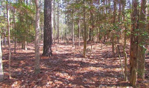 Photo of 27 Acres of  Waterfront Property For Sale in Accomack County VA!