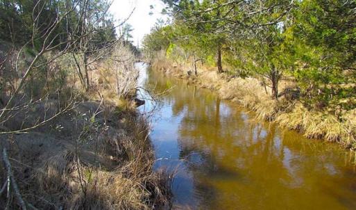 Photo of 27 Acres of  Waterfront Property For Sale in Accomack County VA!