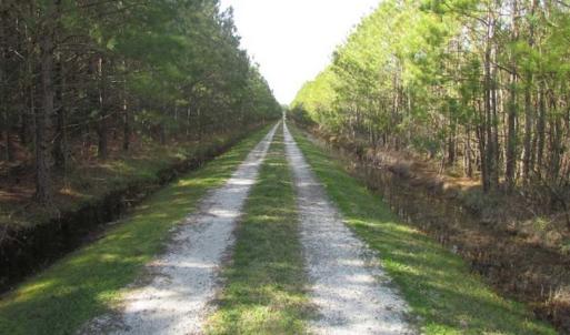 Photo of 27 Acres of  Waterfront Property For Sale in Accomack County VA!