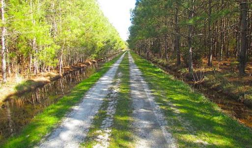Photo of 27 Acres of  Waterfront Property For Sale in Accomack County VA!