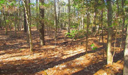 Photo of 27 Acres of  Waterfront Property For Sale in Accomack County VA!