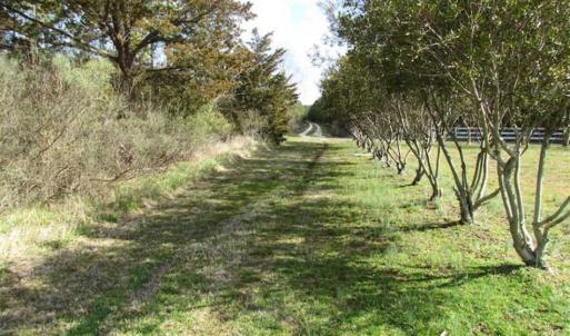 Photo of 27 Acres of  Waterfront Property For Sale in Accomack County VA!