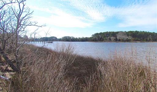 Photo of 27 Acres of  Waterfront Property For Sale in Accomack County VA!