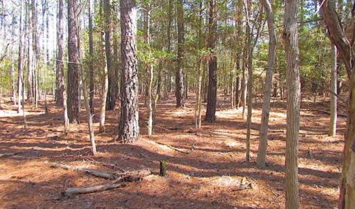 Photo of 27 Acres of  Waterfront Property For Sale in Accomack County VA!