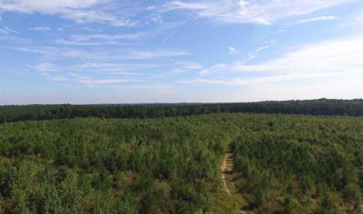 Photo of REDUCED!  103 Acres of Hunting and Investment Land For Sale in Dinwiddie County VA!