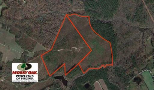 Photo of REDUCED!  103 Acres of Hunting and Investment Land For Sale in Dinwiddie County VA!